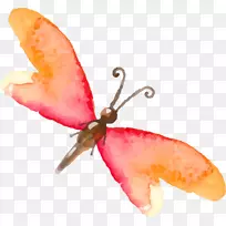 蝴蝶昆虫水彩画手绘彩色蝴蝶昆虫-空若网 蝴蝶昆虫水彩画手绘彩色蝴蝶昆虫-空若网
