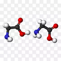 甘氨酸分子缩合反应氨基酸丝素-空若网 甘氨酸分子缩合反应氨基酸丝素-空若网