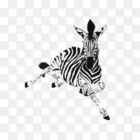 斑马画墨动物斑马动物-空若网 斑马画墨动物斑马动物-空若网