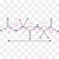 角氨基酸键长残角-空若网 角氨基酸键长残角-空若网