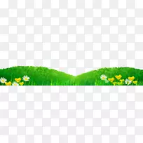 草坪鲜绿草-空若网 草坪鲜绿草-空若网