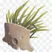 花盆草.设计-空若网 花盆草.设计-空若网