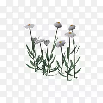 �л�ֲ�ﾥ�ݱ�ֲ��-������