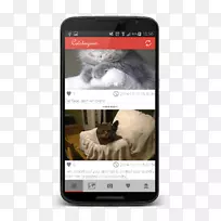 �����ֻ���ý����Ӷ�������-�����ֻ�-������