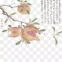 ʯ��ˮī������������ʯ��-������