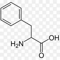 亮氨酸支链氨基酸丙氨酸生成蛋白氨基酸-空若网 亮氨酸支链氨基酸丙氨酸生成蛋白氨基酸-空若网