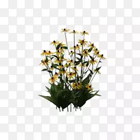 切花花卉设计植物茎花-空若网 切花花卉设计植物茎花-空若网