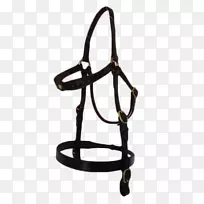 缰绳,长骑兵钉,马头,缰绳-空若网 缰绳,长骑兵钉,马头,缰绳-空若网