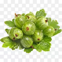 ����ˮ����ʳ��ʳ�¸���˹�߲�-������