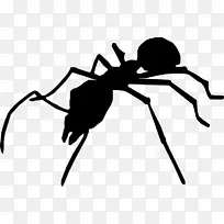 蝇蚁轮廓昆虫黑翅虫蝇-空若网 蝇蚁轮廓昆虫黑翅虫蝇-空若网