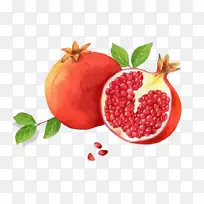 石榴红土坯插画红石榴-空若网 石榴红土坯插画红石榴-空若网