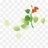 樱桃番茄-空若网 樱桃番茄-空若网