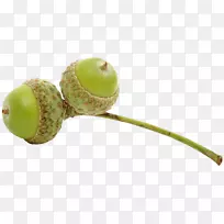 �˽����ӹ�-������