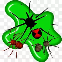 ����Ҷ��������-����-������