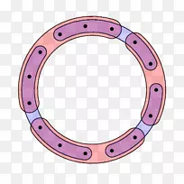 车身首饰.设计-空若网 车身首饰.设计-空若网