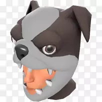 犬种小狗非运动团体鼻子-小狗-空若网 犬种小狗非运动团体鼻子-小狗-空若网