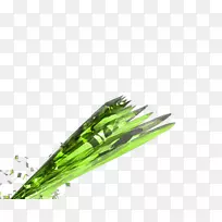 ����������ʿ��-������