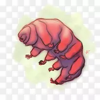 ��ָ�����л���-������