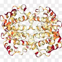 食品首饰剪贴画.珠宝-空若网 食品首饰剪贴画.珠宝-空若网