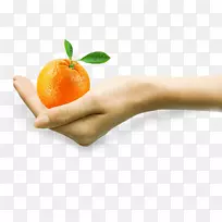 ��֭����ʳƷ����֭-������