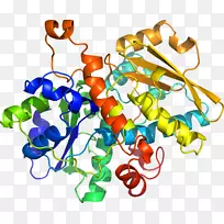 人体首饰有机体线剪贴画线-空若网 人体首饰有机体线剪贴画线-空若网