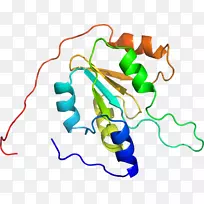 �ߵ������������-������