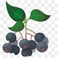 杨梅果实-蓝莓果实-空若网 杨梅果实-蓝莓果实-空若网