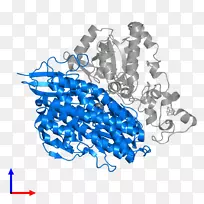 �ߵ������-��-������