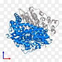 线点生物剪贴画线-空若网 线点生物剪贴画线-空若网