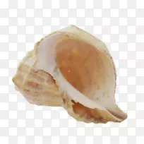 博客动物剪贴画-空若网 博客动物剪贴画-空若网