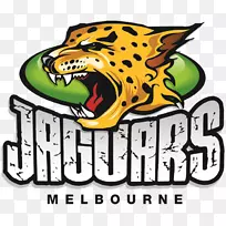 澳大利亚五子棋集团杰克逊维尔美洲虎狗夹艺术-空若网 澳大利亚五子棋集团杰克逊维尔美洲虎狗夹艺术-空若网