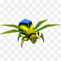 昆虫传粉植物-昆虫-空若网 昆虫传粉植物-昆虫-空若网