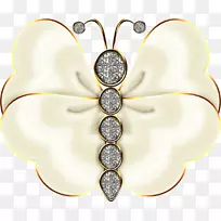 蝴蝶昆虫下载-莱茵石蝴蝶-空若网 蝴蝶昆虫下载-莱茵石蝴蝶-空若网