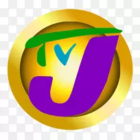 ����ӽ�˹�ص���ֱ̨�����ӽ�Ŀ-��Ŀ-������