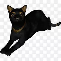 埃及毛古埃及剪贴画-埃及猫材料自由拉-空若网 埃及毛古埃及剪贴画-埃及猫材料自由拉-空若网