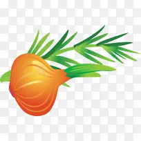 Adobe插画剪贴画-大蒜PNG载体材料-空若网 Adobe插画剪贴画-大蒜PNG载体材料-空若网