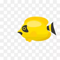 ���ද����������-��ͨ��-������