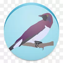 ���������-��-������