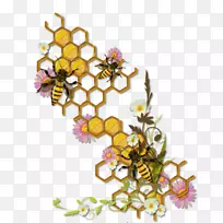 蜂巢昆虫蜜蜂大黄蜂手绘蜂蜜-空若网 蜂巢昆虫蜜蜂大黄蜂手绘蜂蜜-空若网