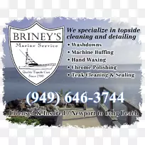 ºá·ùÊ÷Æ·ÅÆÊ÷-¿ÕÈôÍø ºá·ùÊ÷Æ·ÅÆÊ÷-¿ÕÈôÍø