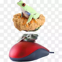 ������������Ӱ������������-������