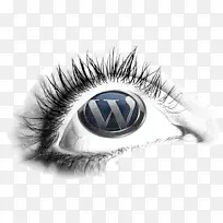 WordPress�������ݹ���ϵͳ����-WordPress-������