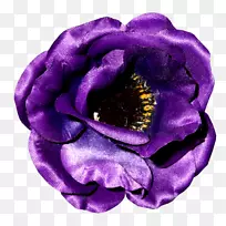 ×ÏÂÞÀ¼Ë®²Ê»Éè¼Æ-¿ÕÈôÍø ×ÏÂÞÀ¼Ë®²Ê»Éè¼Æ-¿ÕÈôÍø