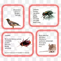 ������Ƽ�������-����-������