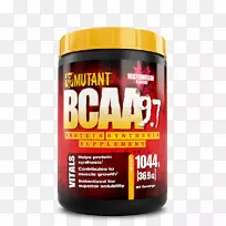 ֧����������ʳ�����-������