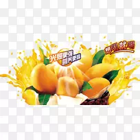 ��֭��ɳâ�����ǳ�֭-������