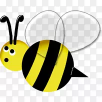 蜜蜂昆虫原料药FLOREA剪贴画-黄蜂-空若网 蜜蜂昆虫原料药FLOREA剪贴画-黄蜂-空若网