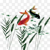 ��������-������ˮ����Ӿ-������