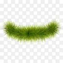 �����ɫ�ȸ�ͼƬ-�򵥵��̲�-������