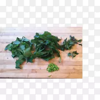 Å·ÇÛ¡¢´º²Ë¡¢²ËÆ×¡¢Ò¶²Ë-¿ÕÈôÍø Å·ÇÛ¡¢´º²Ë¡¢²ËÆ×¡¢Ò¶²Ë-¿ÕÈôÍø